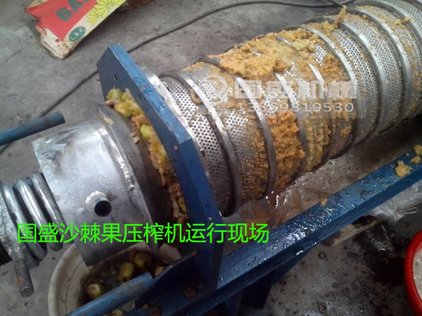 水果壓榨機(jī)汁液提取 水果壓榨機(jī)汁液提取