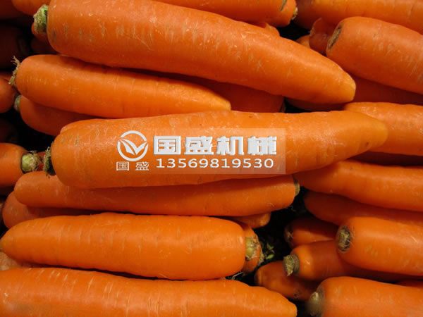 國盛胡蘿卜脫水?dāng)D壓機(jī) 國盛胡蘿卜脫水?dāng)D壓機(jī)