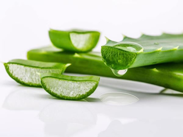 蘆薈螺旋壓榨機(jī) 蘆薈螺旋壓榨機(jī)