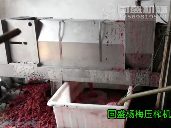 水果壓榨機(jī)多少錢 水果壓榨機(jī)多少錢